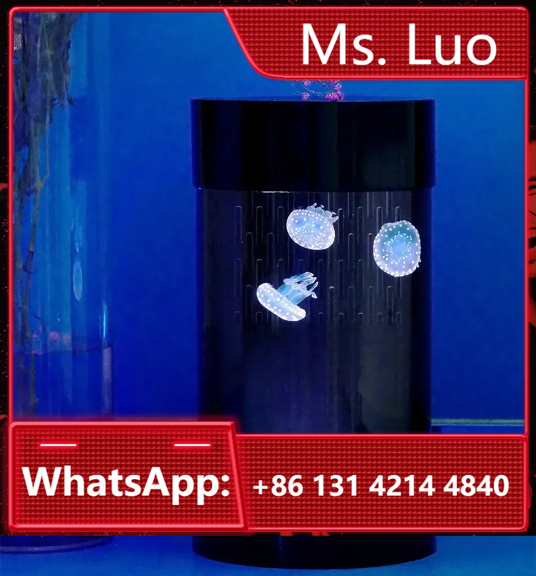 Aquarium Fish In Amazon - Best Amazon Sales Jellyfish Tank Home