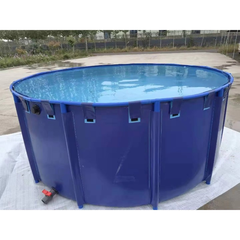 Aquarium Fish Popular - Wholesale Custom Outdoor Large Most Popular