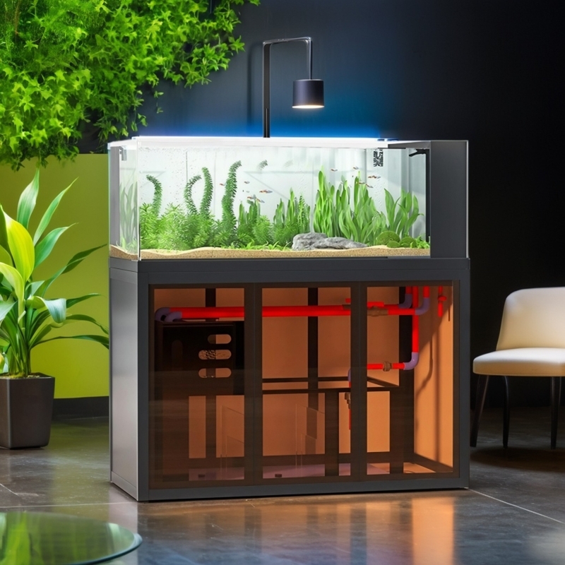 Industrial-style aquascape fis - Aquarium Fish Low Maintenance recension och pris