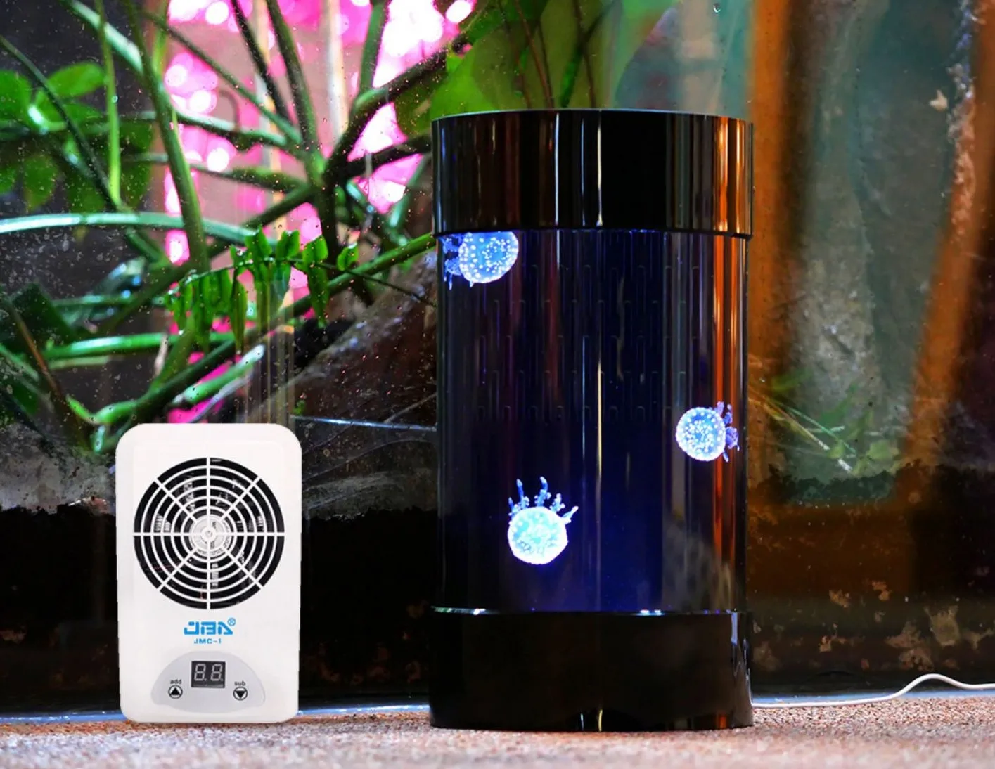 Best Amazon Sales Jellyfish Ta - Aquarium Fish In Amazon recension och pris