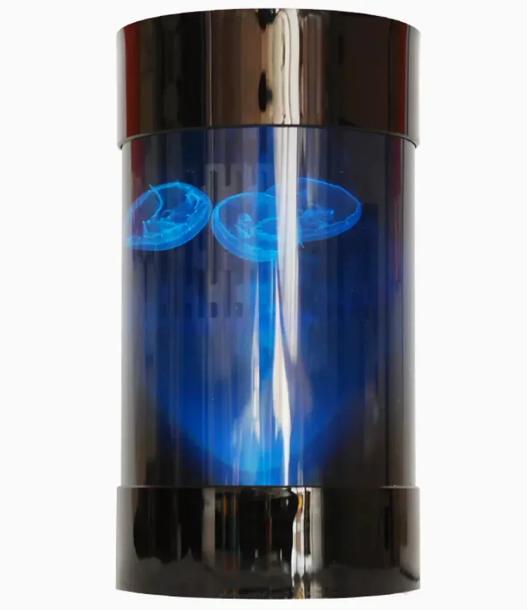 Best Amazon Sales Jellyfish Ta - Aquarium Fish In Amazon recension och pris