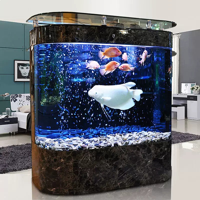 Large Curved Fish Tank Floor S - Aquarium Fish Low Maintenance recension och pris
