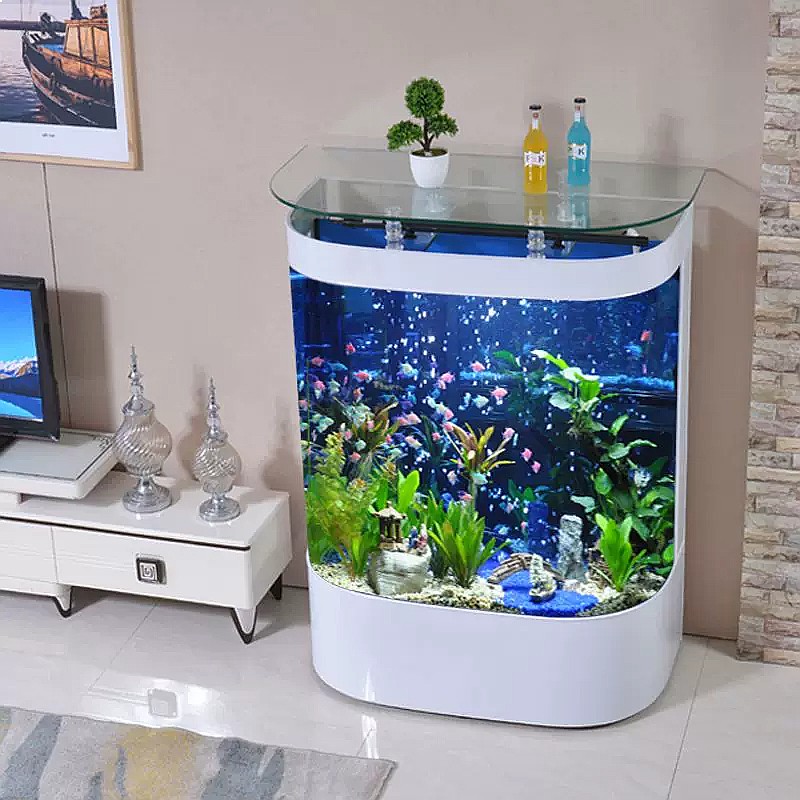 Large Curved Fish Tank Floor S - Aquarium Fish Low Maintenance recension och pris