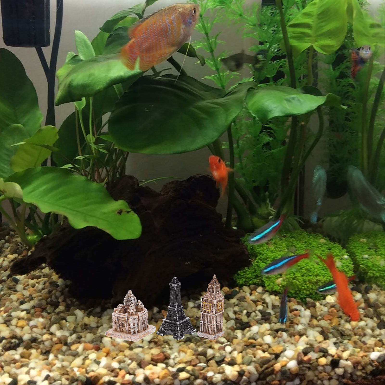 7Pcs Miniature Roman Statues D - Aquarium Fish Usa recension och pris