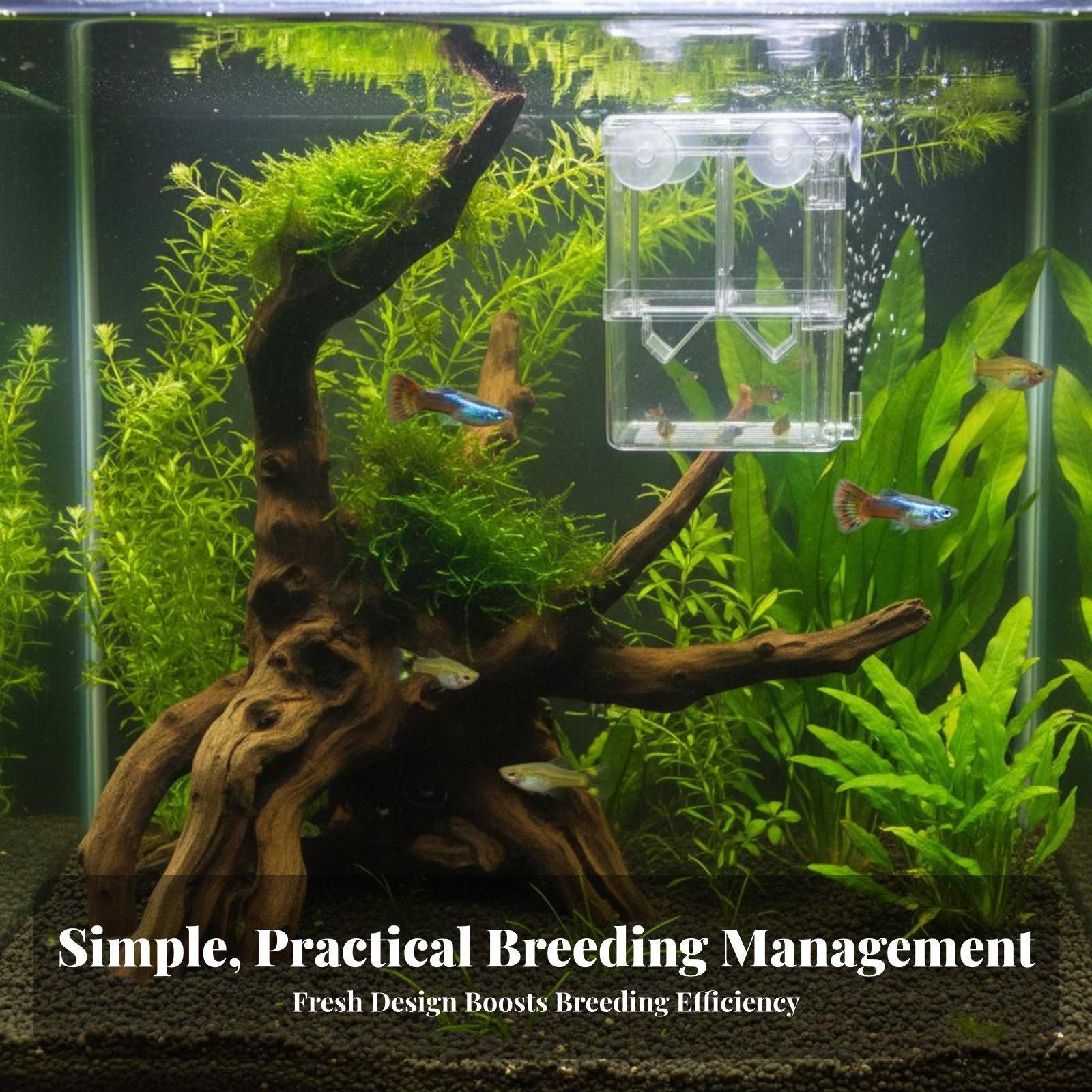 Double Layer Aquarium Breeding - Aquarium Fish Usa recension och pris