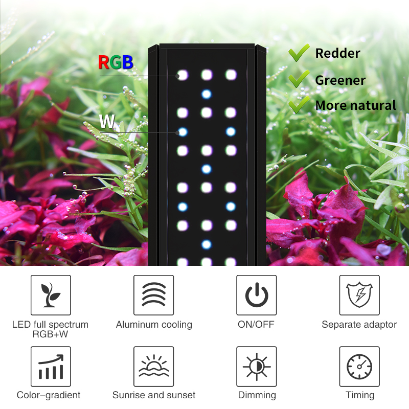 V300SE Best Price 30 40cm Fres - Aquarium Fish And Price recension och pris