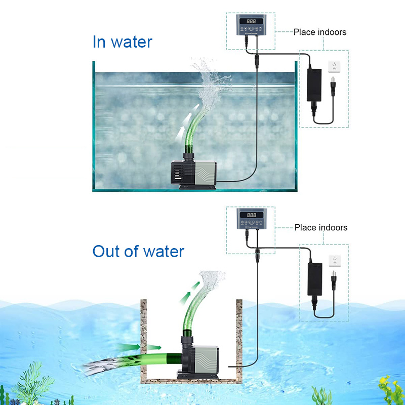 Factory Direct Wholesaler Pric - Aquarium Fish And Price recension och pris