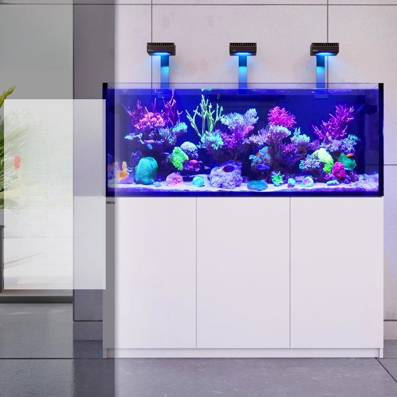 2026 Hot Selling Wholesale Pri - Aquarium Fish And Price recension och pris