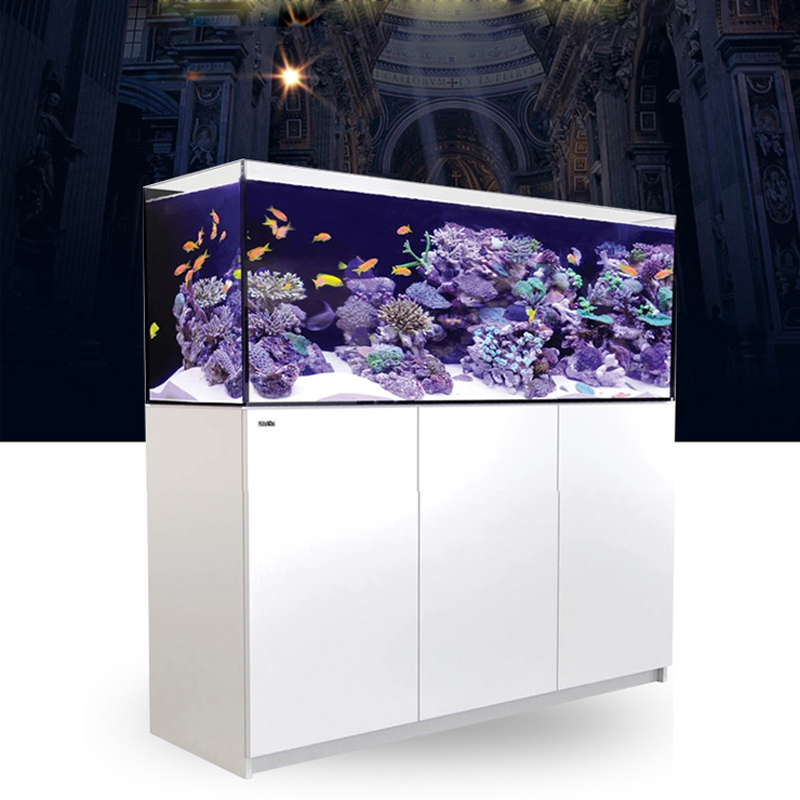 2026 Hot Selling Wholesale Pri - Aquarium Fish And Price recension och pris