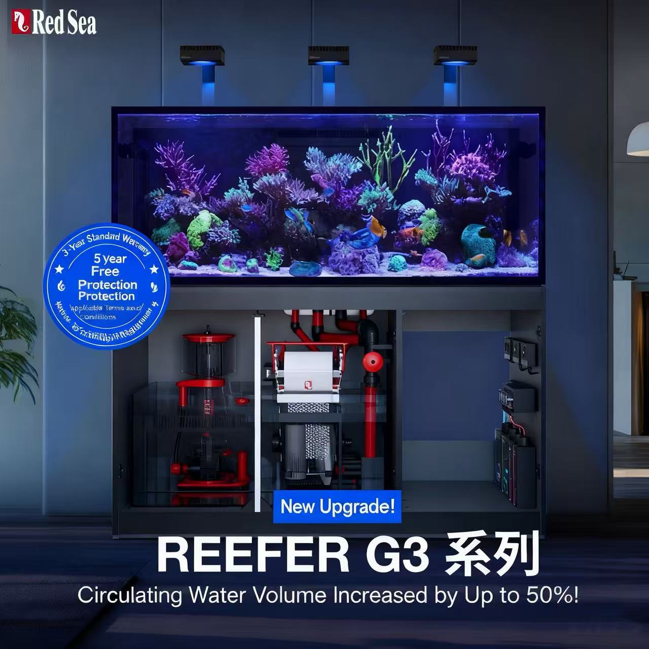 2026 Hot Selling Wholesale Pri - Aquarium Fish And Price recension och pris