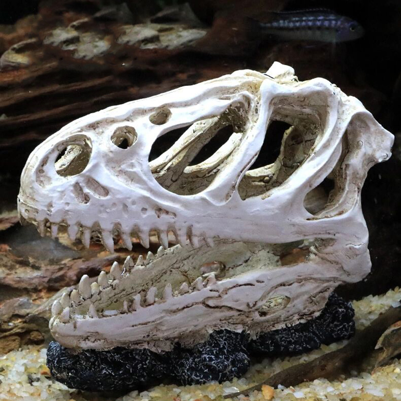 Aquarium Fish Tank Dinosaur He - Aquarium Fish Popular recension och pris