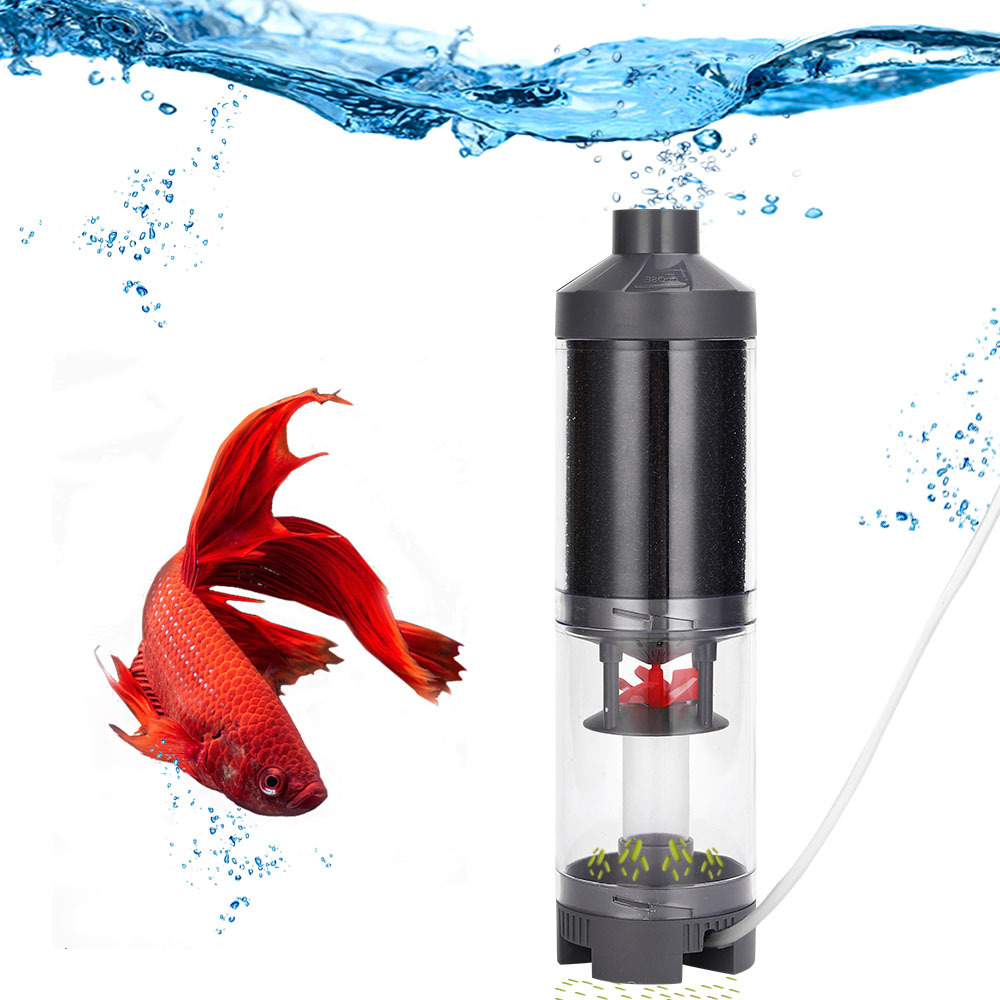 Popular Hot sell Aquarium Fish - Aquarium Fish Popular recension och pris