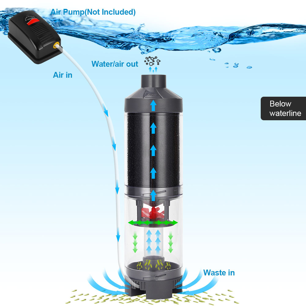 Popular Hot sell Aquarium Fish - Aquarium Fish Popular recension och pris