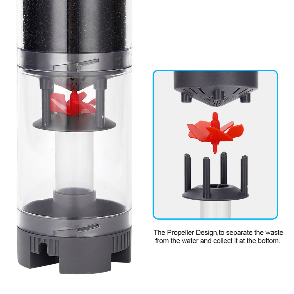 Popular Hot sell Aquarium Fish - Aquarium Fish Popular recension och pris