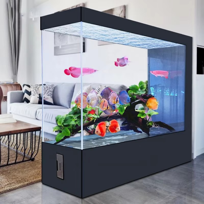Wholesale Customization Latest - Aquarium Fish And Price recension och pris