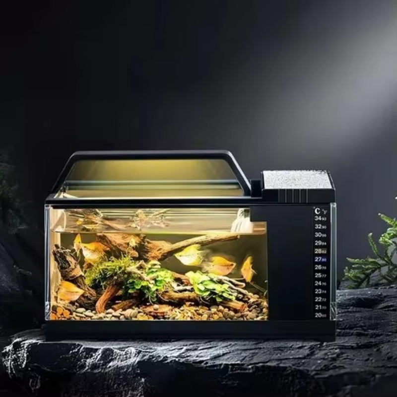 South American Style Aquarium  - Aquarium Fish Low Maintenance recension och pris
