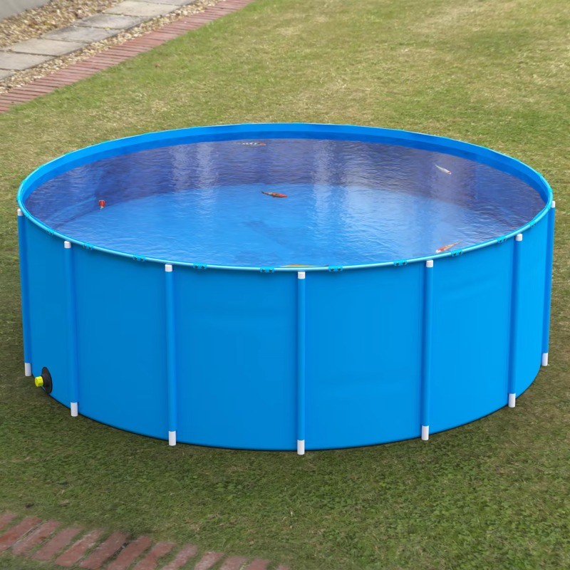 Wholesale Custom Outdoor Large - Aquarium Fish Popular recension och pris