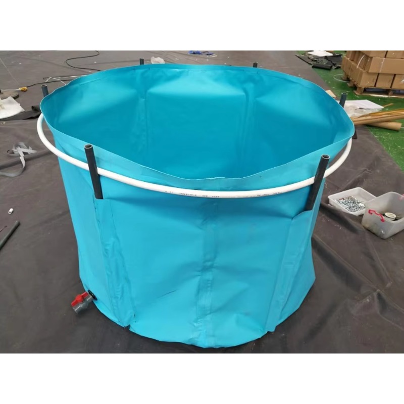 Wholesale Custom Outdoor Large - Aquarium Fish Popular recension och pris