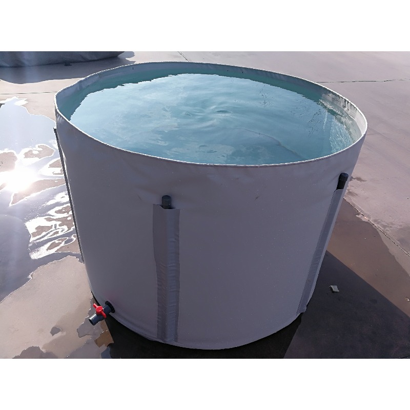 Wholesale Custom Outdoor Large - Aquarium Fish Popular recension och pris