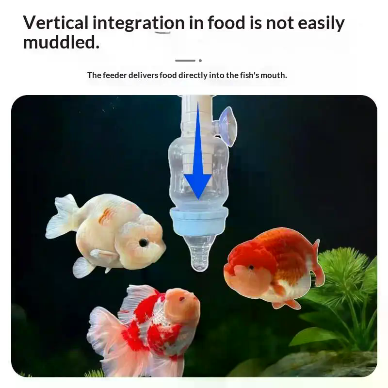 Popular Precise Fish Pacifier  - Aquarium Fish Popular recension och pris