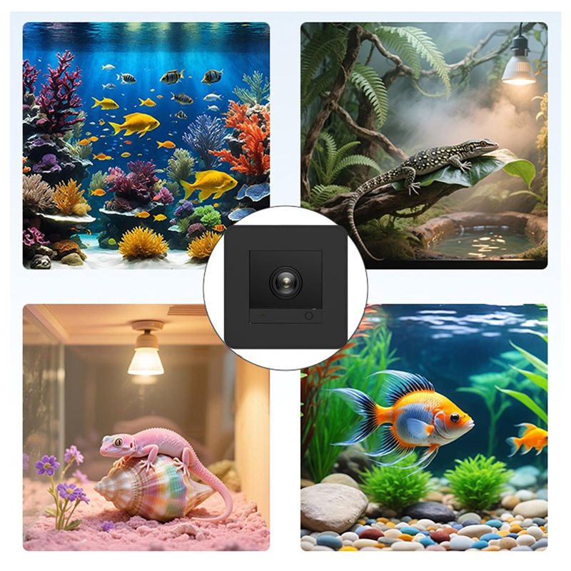 【Price Drop !!】Fish Tank Camer - Aquarium Fish And Price recension och pris