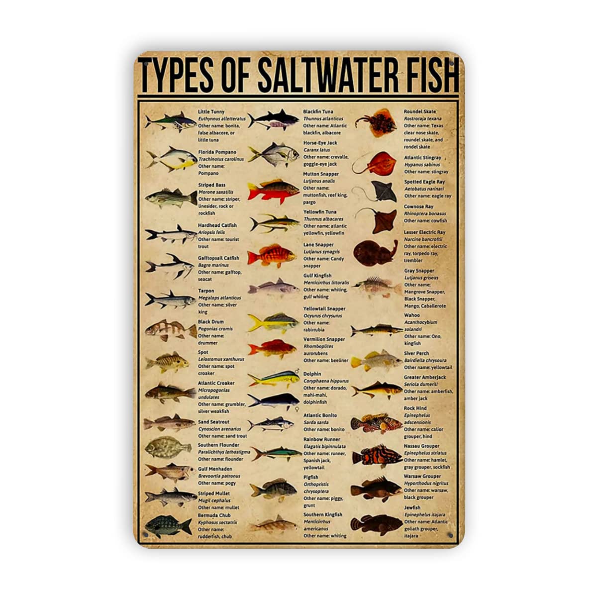 Metal Tin Signs Types Of Saltw - Aquarium Fish Popular recension och pris