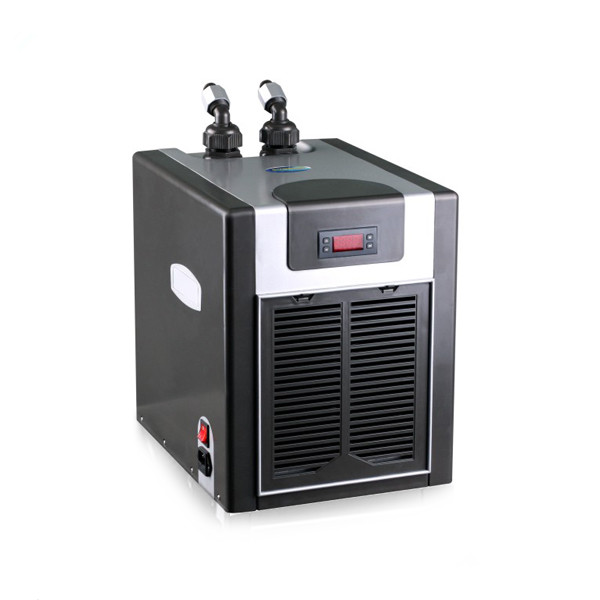 Wholesale Price Aquarium Water - Aquarium Fish And Price recension och pris